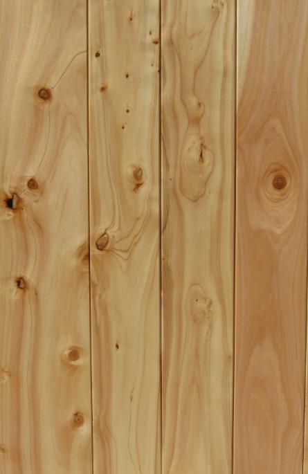 Macrocarpa timber