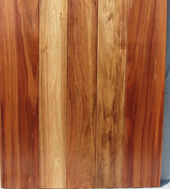 Blackwood timber